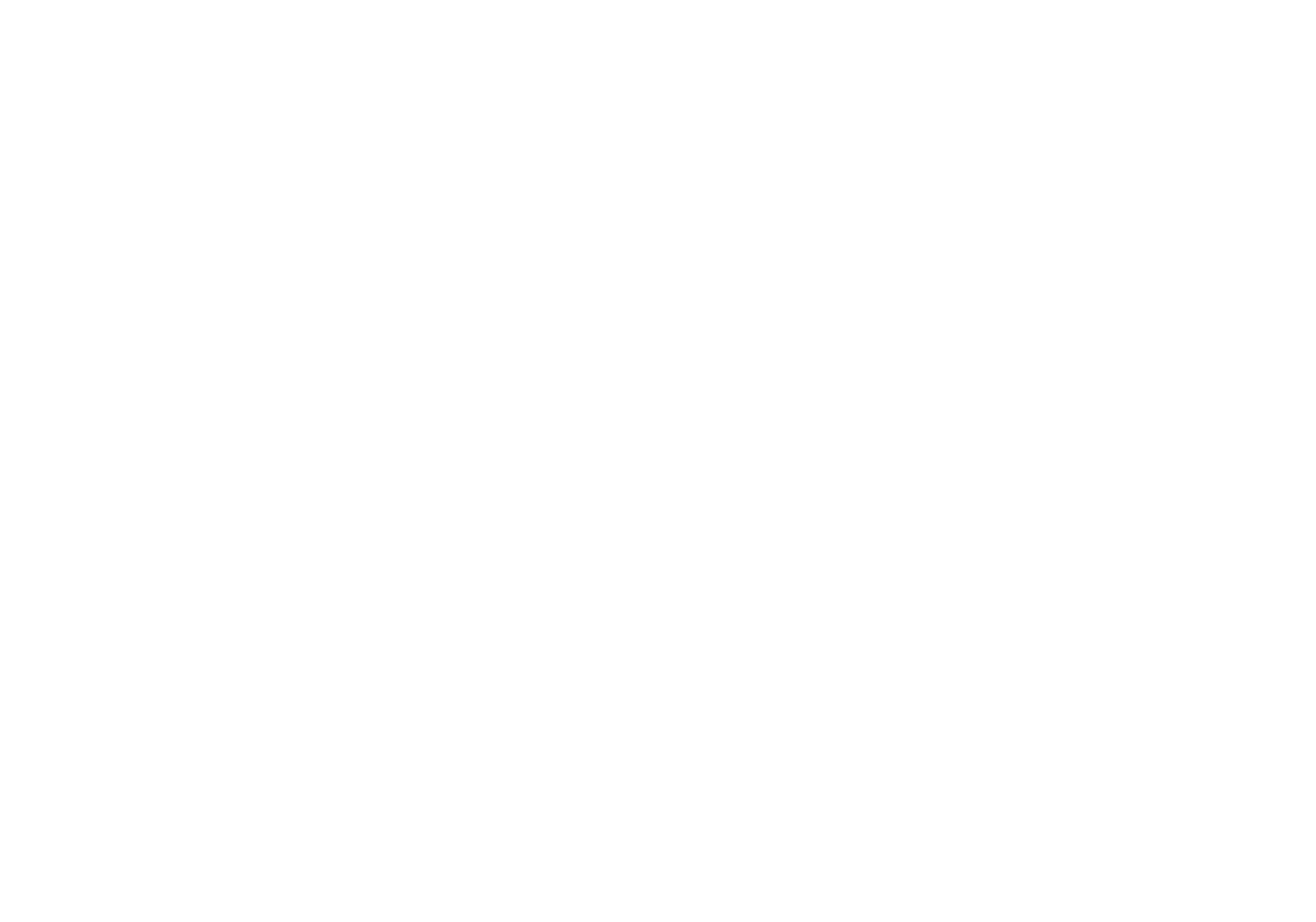 Brothers Trade Company